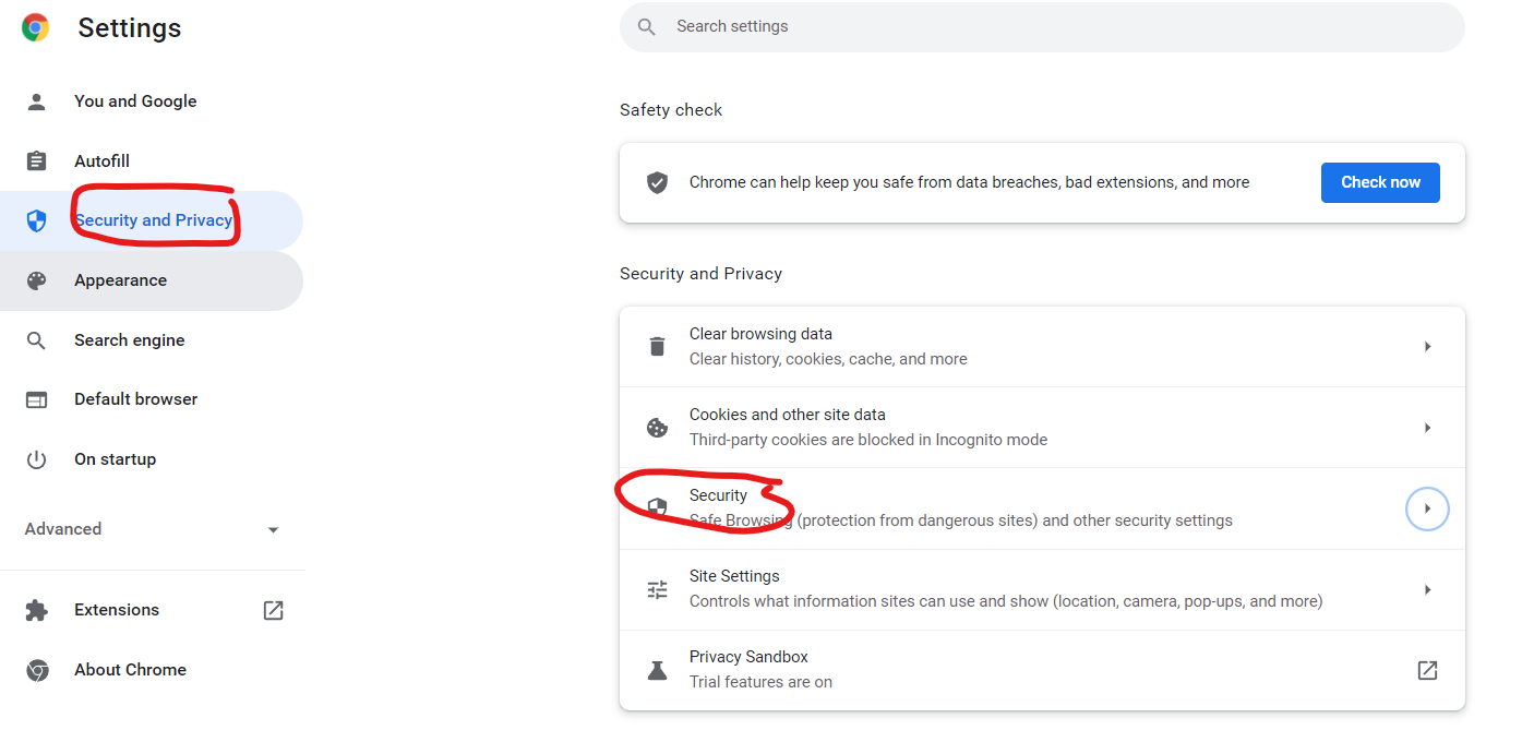 Setting Chrome Browser bagian security