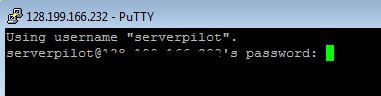 ketik password pada command line