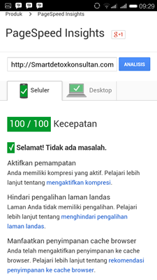 Smartdetoxkonsultan.com page speed insight seluler