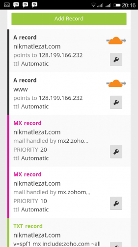 Domain record