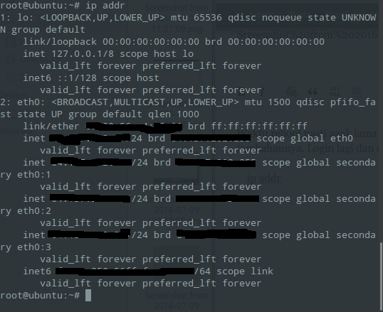 multiple ip