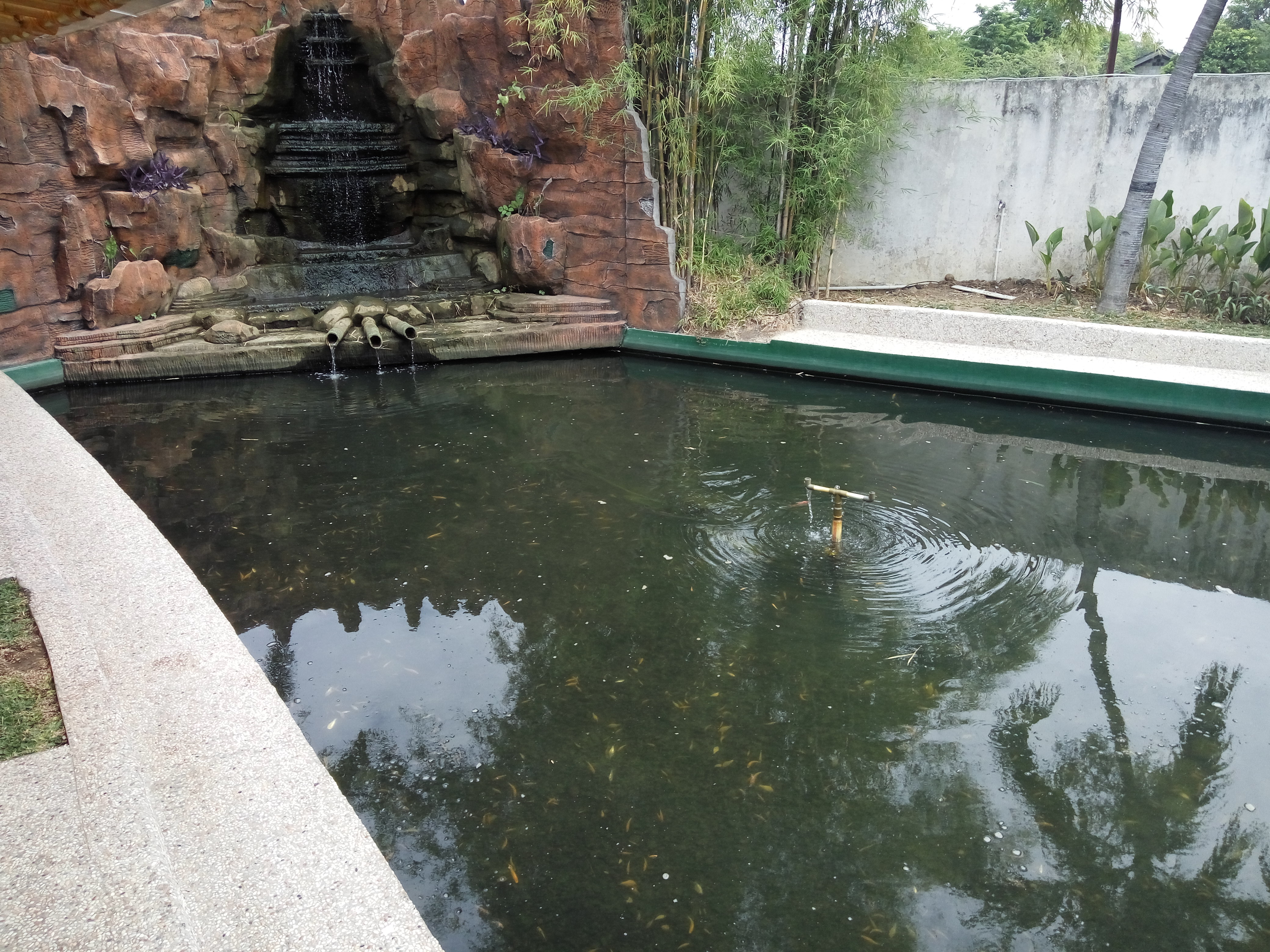 area rendam kaki