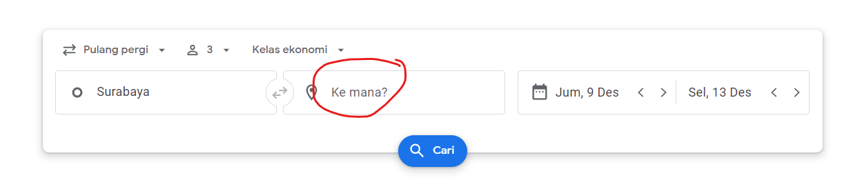 form google flights